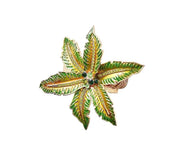 Palm Coast Napkin Ring in Green & Gold, Set of 4 in a Gift Box